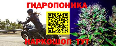 наркотики Будённовск