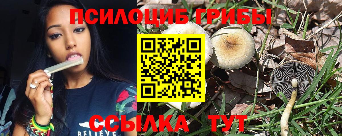 Псилоцибиновые грибы MAGIC MUSHROOMS Протвино